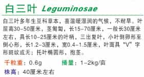 1652003751126203.jpg 2.2.jpg