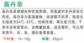 1652003957825884.jpg 10.2.jpg